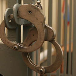 Жети тоноо фактысына тиешеси бар уурулар кармалды