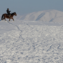 Найдено тело охотника пропавшего на Алае 28 января