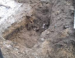 ВИДЕО: Үч ирет жаткан жайын тынч коюшкан жок