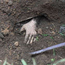 Тирүүлөй көмүлгөн аял 11 күн жардам сурап кыйкырган