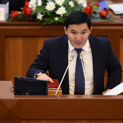 МИД подтвердил о задержании депутата ЖК Дамирбека Асылбек уулу в Казахстане