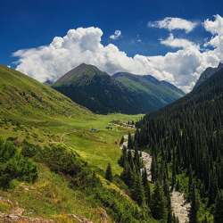 Баасы 3 млрд. 800 млн. сомдон ашык сумманы түзгөн, жалпы аянты 629 гектар 156 жер тилке мамлекетке кайтарылган