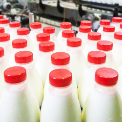 Россия не будет покупать молоко у Белоруссии