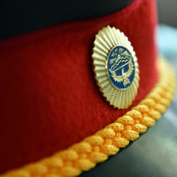 Бопоновго окшогон сылаңкороздордун курсагын тойгузам деп...