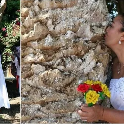 Кыздар бак - дарактарга турмушка чыкты...