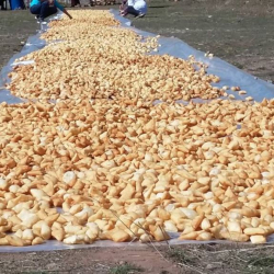 Жарым тонна боорсокту жасашып...