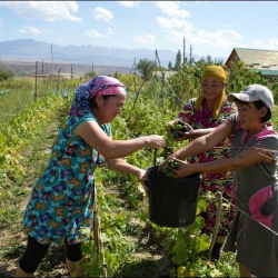 Сельские женщины Кыргызстана получают помощь из фондов Швеции