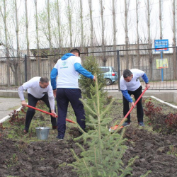 Жалал-Абадда он чакырым арык тазаланды
