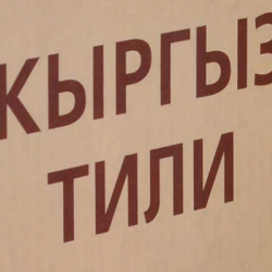 Сотрудники ЦИК КР прошли предварительное тестирование с целью определения уровня знания кыргызского языка