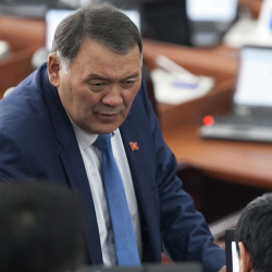 Депутат Камчыбек Жолдошбаев аюу атып мыйзам буздубу?