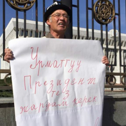 Токтонасыров активист Ормуковду коргоп акцияга чыкты