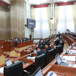 Эшектин тушагын да чече албаган парламент тарап кетсе болмок