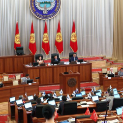 ЖК эл өкүлдөрү Индира Жолдубаеваны "сүйүнүп-сүйүнүп" кызматынан кетирди