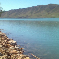 ВИДЕО: Кемпир-Абад суу сактагычы Өзбекстанга өтүп кеткенби?