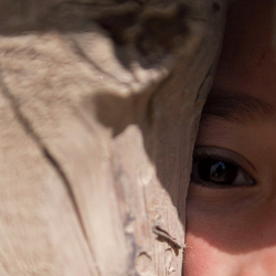  Акыйкат издеп жүрөм, Ай элдер, көрдүңөрбү? Тим коюп унчукпастан, Тирүүлөй өлдүңөрбү?