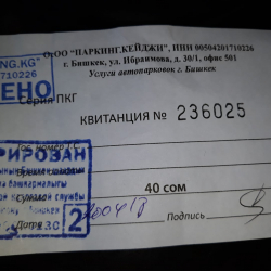 Жолдун жээгинде унаага төлөнгөн 40 сом кимдин алкымына сойлоп кирет?