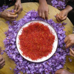 Маркировка региона происхождения продуктов питания - толчок к развитию экономик на местах  