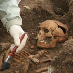 Перуда диний жөрөлгөгө ишенип, 140 жаш баланын жүрөгүн сууруп алган