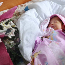 Бишкектин туулган күнүндө борбордо 87 бала төрөлдү