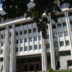 Шадиевдин жандырмаксыз "жашынмагы"