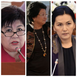 Бөдөш Мамырова: “Роза Отунбаева, Аида Саляновага жактоочу болуп алды”