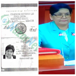 Клара Кабилова кыргыз жараны эмес, депутат болгонго акысы барбы? 