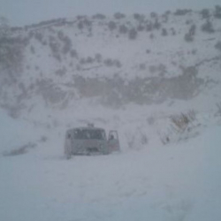 Ысык-Көлдөгү Сары-Камыш айылында кашарды кар күрткүсү басып калды