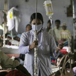 Жылан уусу энеден балага өттү