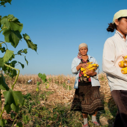 Сельское хозяйство должно способствовать сохранению биологического разнообразия