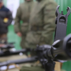  Орусияда жеке адамдардын колунда 17 миллиондон ашык курал-жарак бар