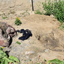 Cүрөт - Өлүктү үйүнүн алдындагы жер тилкеге көмүп салышкан...