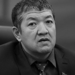 Эл тааныбаган депутат орун басарлыкка кетти