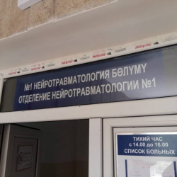 Керебеттен кулап психикалык бейтапканага жаткан жоокер же Улуттук гвардиянын "урдум шалдыгы"