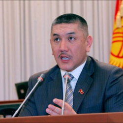 Эшек бизнесинин артында ким турат?