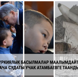 Дача-СУдагы кырсыктын чыныгы себеби качан аныкталат?