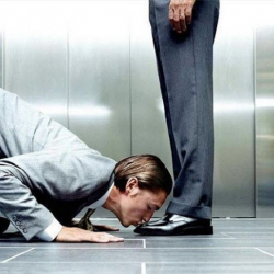 Кубулмалар, жан бактылар коркунучтуу