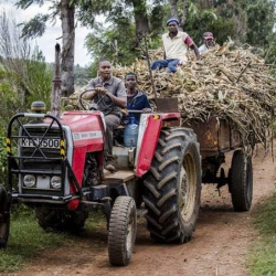 Бедные страны сталкиваются с растущей стоимостью импорта продовольствия
