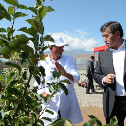 ФОТОРЕПОРТАЖ - Сооронбай Жээнбеков жети миңге жакын адамдарды жумуш менен камсыз кылып жаткан Талас облусундагы ишканага барды