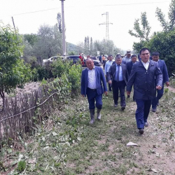 Таалай Сарыбашевдин артыкчылыктары