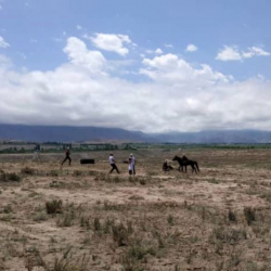 Бүркүт кол салган кыздын абалы жакшы
