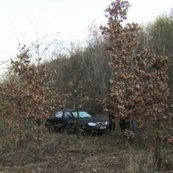 4 жашар баланы сүзүп, бадалдын түбүнө таштап кеткен айдоочу изделүүдө