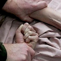 39 эшек уурдалып, зордуктоо боюнча 12 кылмыш катталды