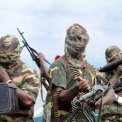 В Чаде террористы Боко Харам убили 18 жителей деревни