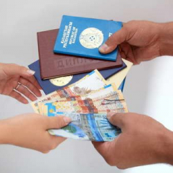 Кызмат үчүн кылмышка барган...