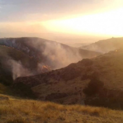 Талас жайлоосундагы өрт дээрлик өчүрүлдү