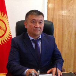 Караколдун мэрин иштен кетирүү демилгесин өкмөт башчы колдобогонун айтты