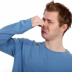 ВИДЕО - Тепловизордон эң мыкты көрсөтүлгөн нерсе – бул...