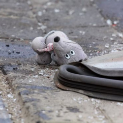 Таласта жол кырсыгынан өспүрүм каза болду