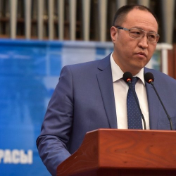 Мурдагы вице-мэр үй камагына чыгарылды