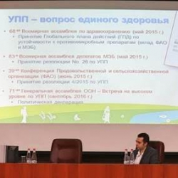 Как бороться с супербактериями